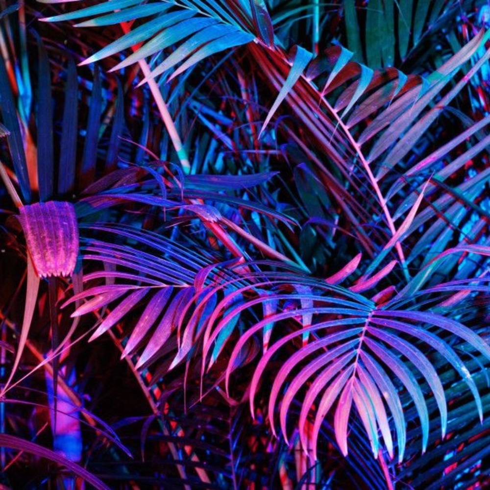 Meet your Posher, Samsanight